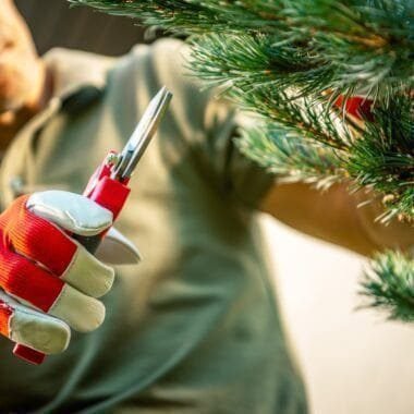 Maintenance and Care Guide for Simulated Christmas Trees